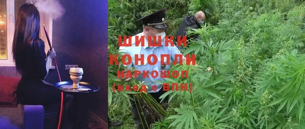 СК Аркадак