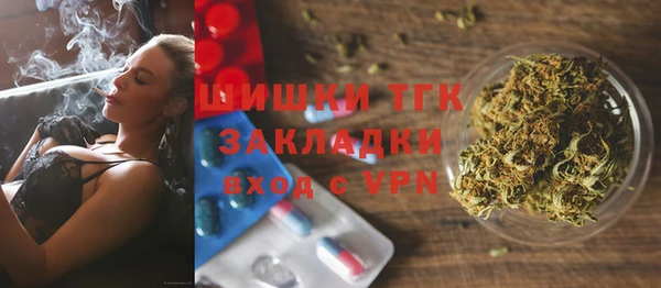 шишки Абаза