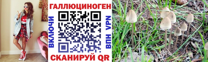 цены   Плавск  Псилоцибиновые грибы ЛСД 