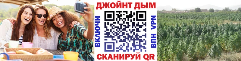 Конопля ГИДРОПОН  Плавск 